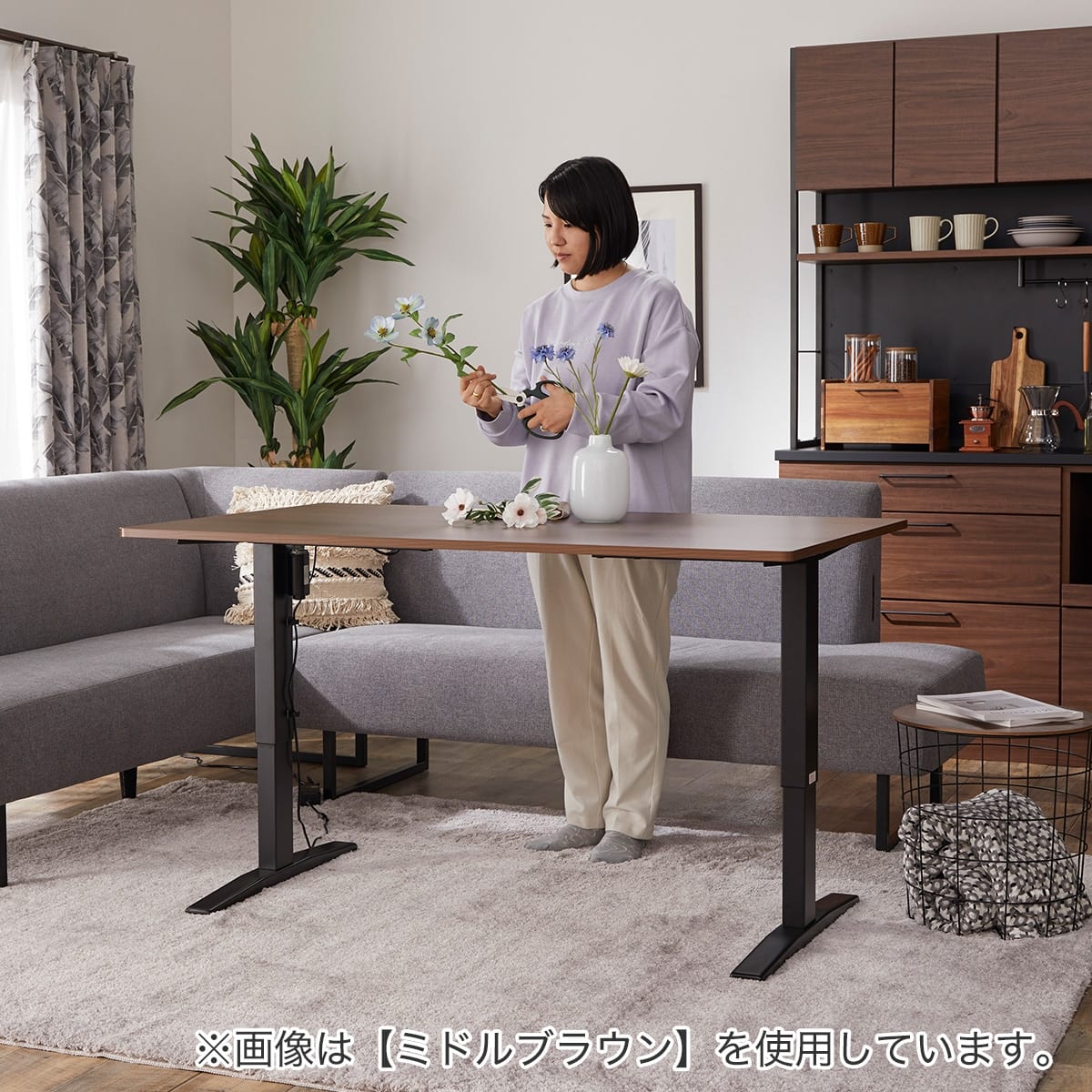 電動昇降ダイニングテーブル(JT341 150 MBR) | ニトリネット【公式