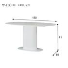 セラミック楕円形ダイニングテーブル(TA111 150 WHWH) 8枚目画像