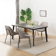 ダイニングテーブル5点セット(Nコレクション T-12/TS305)