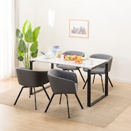 ダイニングテーブル5点セット(DTセーラル /TD301)