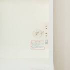 キッチンボード(レジューム 60TF/60TH WH) 8枚目画像