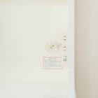 キッチンボード(レジューム 60TF/60TH WH) 8枚目画像