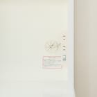 キッチンボード(レジューム 60TF/60QH WH) 8枚目画像