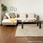 布張りカウチソファR(ベルナ IV/MO)【島忠ホームズ商品】 13枚目画像