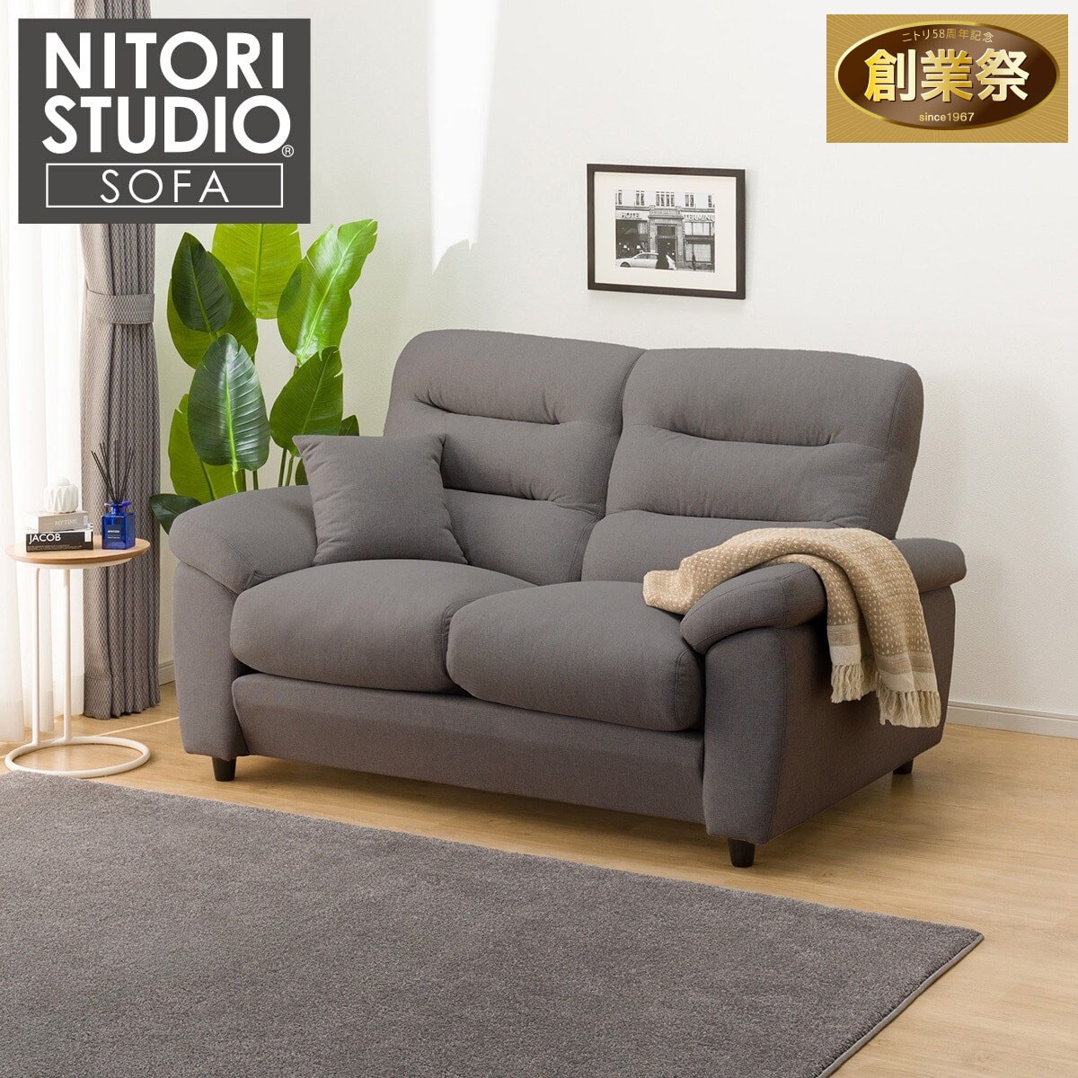2人掛けソファ 布張りタイプ (Nポケット BS12 S-HI AQ-MGY) | ニトリ