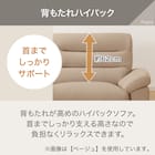 傷・汚れに強い 2人掛けソファ 布張りタイプ (Nポケット BS12 S-HI Nシールド やわらかめ ハイタイプ AQ-BE) 5枚目画像