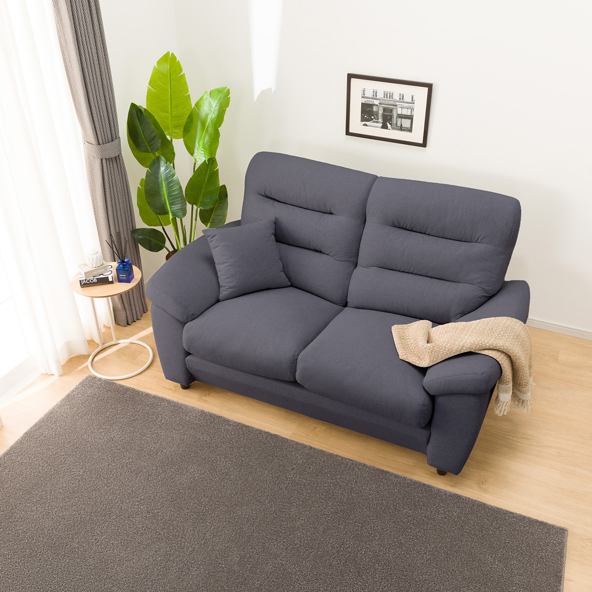 2人掛け布張りソファ(Nポケット BS12 S-HI Nシールド AQ-DBL