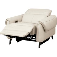 1人掛け電動リクライニングソファ 本革(一部合成皮革)タイプ (LS04 NW)