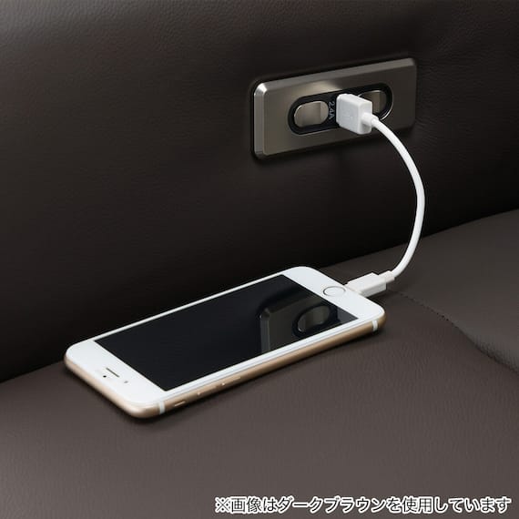 電動リクライニングパーソナルチェア 本革(一部合成皮革)タイプ (LE01-2 2モーター BE) 27枚目画像