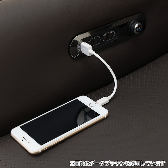 電動リクライニングパーソナルチェア 本革(一部合成皮革)タイプ (LE01-2 2モーター ヒーター&送風 BE) 22枚目画像