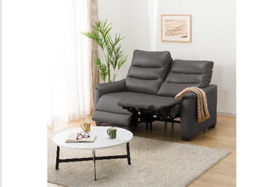 2Pソファ Nビリーバ3 アツカワDGY 1枚目画像