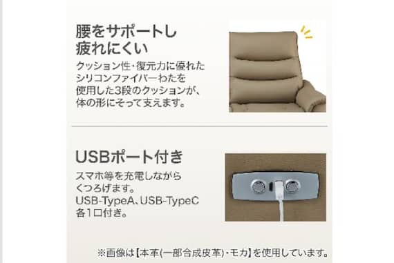 2Pソファ Nビリーバ3 アツカワDGY 5枚目画像