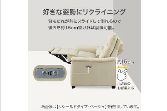 2Pソファ Nビリーバ3 アツカワDGY 6枚目画像