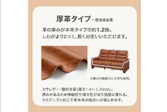 2Pソファ Nビリーバ3 アツカワDGY 7枚目画像