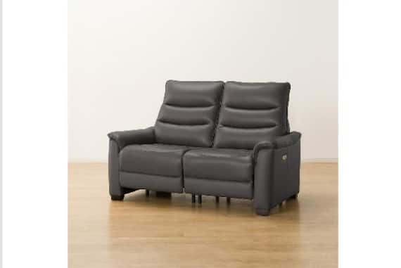 2Pソファ Nビリーバ3 アツカワDGY 9枚目画像