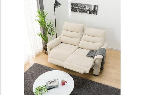 2Pソファ Nビリーバ3 Nシールド BE 6枚目画像