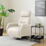 電動パーソナルチェア 本革(一部合成皮革)タイプ (LS03 NW)