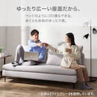 傷・汚れに強い 広い座面のゆったり コーナーソファ + 1人掛けソファ2台セット 布張りタイプ (MS01 コーナー/1P×2 Nシールド MGY) 5枚目画像