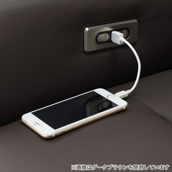 電動リクライニングパーソナルチェア 本革(一部合成皮革)タイプ (LE01-3 2モーター BE) 23枚目画像