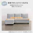 収納タイプ カウチソファ 布張りタイプ(ノアーク3 左カウチ DGY) 3枚目画像
