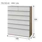 ハイチェスト(ニーズ3 100HC WW/GY) 20枚目画像