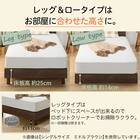 セミダブル 棚・照明・サイド収納付きベッドフレーム(NS-004 LEG/LOW すのこ BK) 3枚目画像