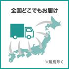 ベッドフレーム クイーン 棚・サイド収納・ライト付きタイプ1 (NS-004 LEG/LOW すのこ GW) 23枚目画像