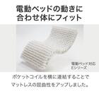 【非課税】電動シングルベッドフレーム + マットレスセット(ライズ3 3M-F LBR/E2) 11枚目画像