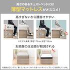 【大容量収納付き】チェストベッドフレーム シングル (N-ジオF-DP 40O-S すのこ WW) 10枚目画像