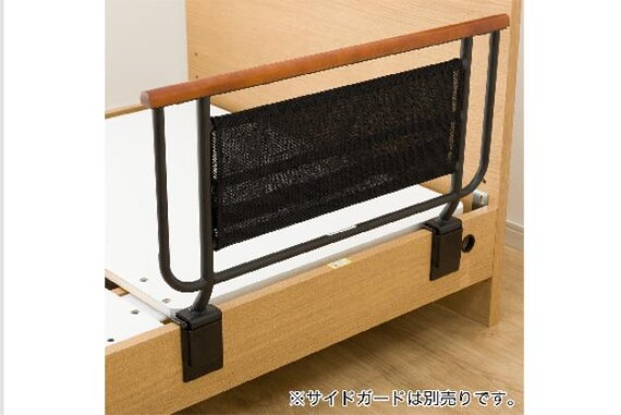 ヒ)Sデンドウ NS001 LEG LBR 4枚目画像