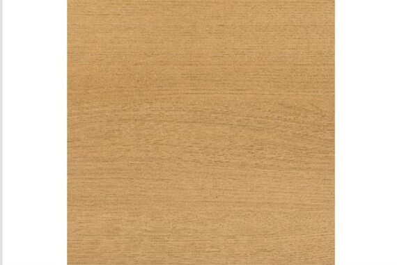 ヒ)Sデンドウ NS001 LEG LBR 22枚目画像