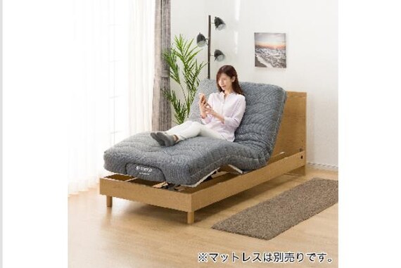 ヒ)Sデンドウ NS001 LEG LBR 23枚目画像