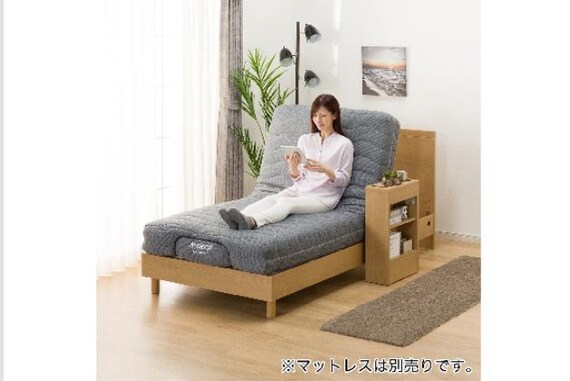 ヒ)Sデンドウ NS001 LEG LBR 24枚目画像