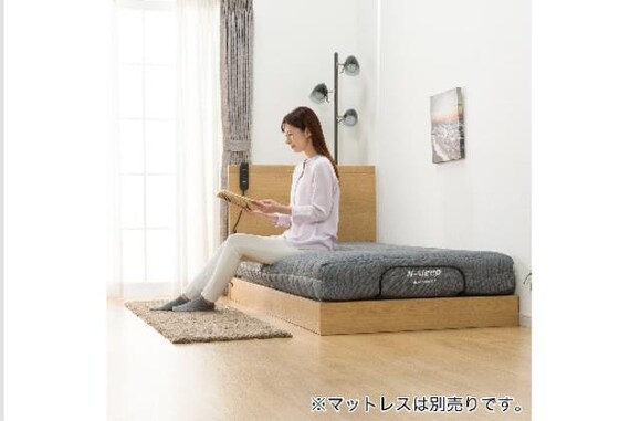 ヒ)Sデンドウ NS001 LEG LBR 27枚目画像