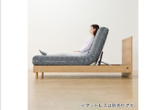 ヒ)Sデンドウ NS001 LEG LBR 28枚目画像