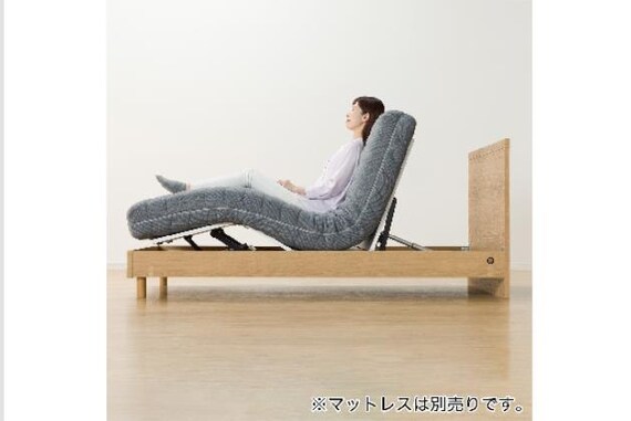 ヒ)Sデンドウ NS001 LEG LBR 30枚目画像