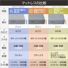 電動セミダブルベッドフレーム + マットレスセット(NS003 ST LBR/E3-05) 3枚目画像