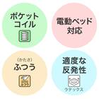 電動セミダブルベッドフレーム + マットレスセット(NS003 ST LBR/E3-05) 22枚目画像