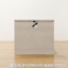 電動セミダブルベッドフレーム(NS002 LEG GY) 7枚目画像