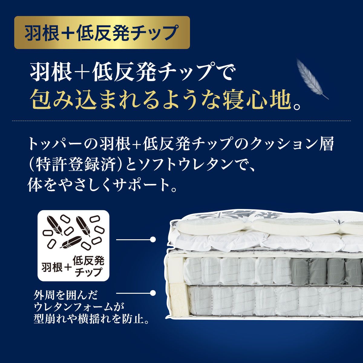 2052011s00.jpg?ts=