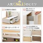 【大容量収納×棚・コンセント付き】チェストベッド + マットレスセット シングル (N-ジオT2 40M-S すのこ MBR2/U3-03 EM) 3枚目画像