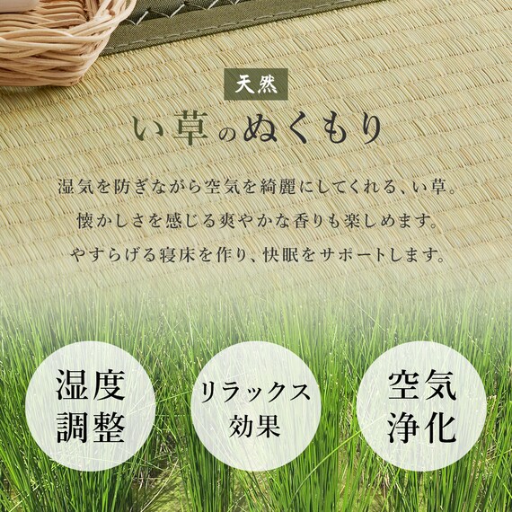 シングル 頑丈畳ベッド (棚コンセント付き LBR/GR) 2枚目画像