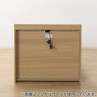 【大容量収納×棚・コンセント付き】チェストベッドフレーム シングル (N-ジオT2-DP 40O-S すのこ LBR) 16枚目画像