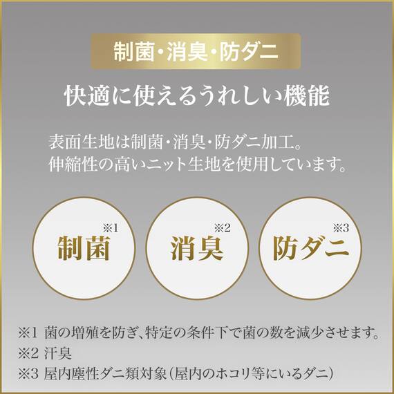 ダブルマットレス(Nスリープ PS2) 4枚目画像