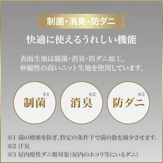 クイーンマットレス(Nスリープ PS2 UNT) 4枚目画像