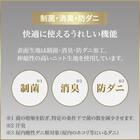 クイーンマットレス(Nスリープ PS3 UNT) 4枚目画像