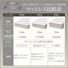 クイーンマットレス(Nスリープ PS3 UNT) 11枚目画像