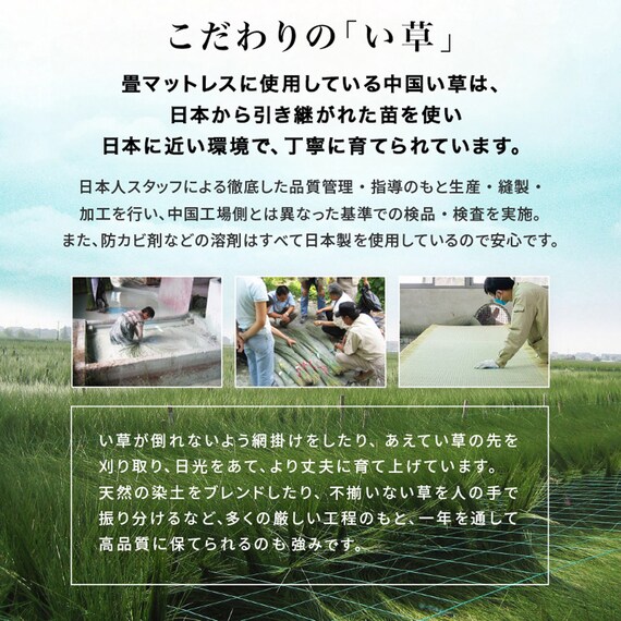 シングル　組立簡単天然い草ベッド (ライトブラウン) 14枚目画像