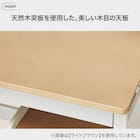 スタンダードデスク(SC02) 3枚目画像