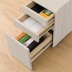 スタンダードデスク(メルシー01 WW) 20枚目画像